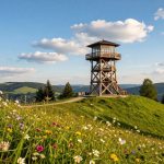wieża widokowa dziewicza góra
