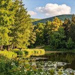 puszcza zielonka atrakcje